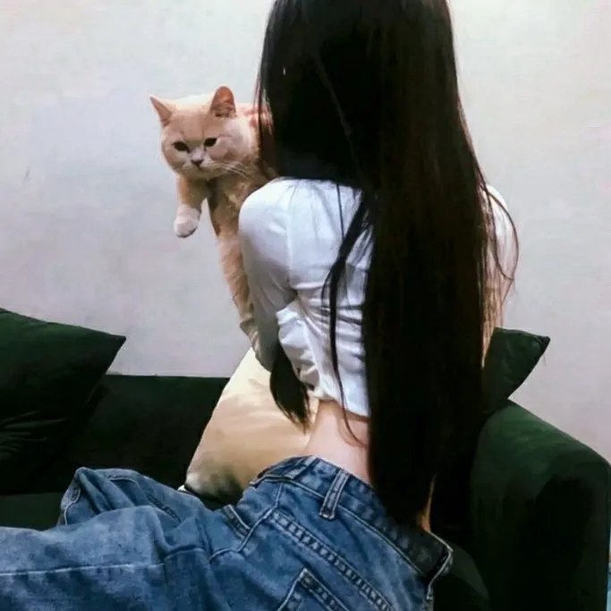 撞翻姻缘路